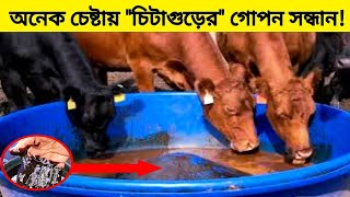 #চিটাগুড়ের গোপন সন্ধান।