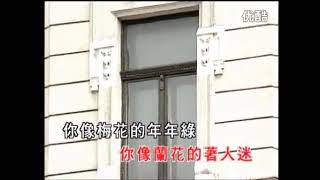 林淑容 梅兰梅兰我爱你