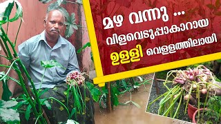 അടുക്കളത്തോട്ടങ്ങളെ മഴക്കാലത്ത് കരുതലോടെ നോക്കാം | kitchen Garden protection during the rainy season