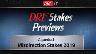 Mizdirection Stakes 2019 Preview