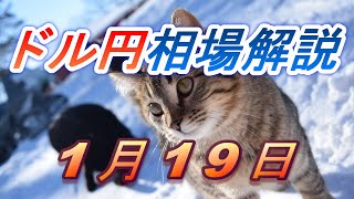 【TAKA FX】ドル円為替相場の前日の動きをチャートから解説。日経平均、NYダウ、金チャートも。1月19日