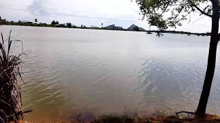 Muhavoor Kulam 2021 || முகவூர் குளம் #nature #village #heavyrain #lake