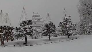 20250130 大雪警報の鶴ヶ城公園