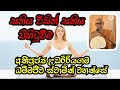 සතිය විසින් සතිය පිහිටුවීම ven.udairiyagama dhammajiwa thero @rev.ridiyagamaindalokathero