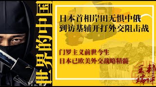 岸田文雄到访乌克兰阻击习近平，日本接替俄罗斯成安理会常任理事国不是梦；门罗主义前世今生，日本深得欧美外交战略精髓；200年前的约翰亚当斯甩王毅N条街｜《#世界的中国》（20230322）