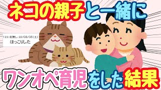 【2chほっこり】夫の転勤→ワンオペ育児中に母猫から教わったこと