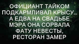 Официант тайком подкармливал крысу… А едва на свадьбе мэра она сорвала фату невесты, ресторан заме