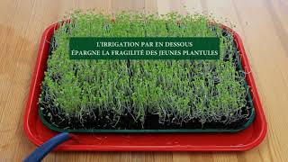 || IRRIGATION PAR EN DESSOUS (CABARET TROUÉ) || VERT DEMAIN