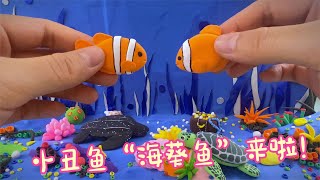 探秘海底！海葵魚？海底總動員的臉譜精靈“小丑魚”來啦！Anemone fish? Finding Nemo's Facebook elf \