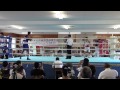 第３４回北信越国民体育大会ボクシング競技（成年の部）バンタム級決勝＿小林　将也