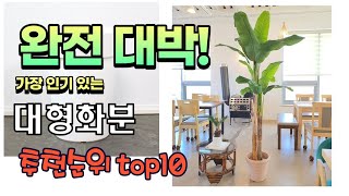 가장 인기있는 대형화분 추천 판매순위 TOP10 가성비 평점 후기 비교