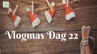 2020 Dag 357 | Vlogmas Dag 22 | Urnenedsettelse \u0026 baking