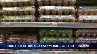 Bakeries hit by soaring egg prices amid bird flu outbreak at southern Indiana farm