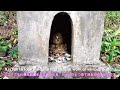 【ハワイ・カウアイ島】ラワイ・インターナショナルセンターで88ヶ所参りを体験！ 88 shrines pilgrimage at lawai intʻl center hawaii kauai