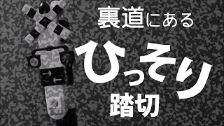 踏切ハンター（常磐線／#10 鳥屋踏切）知ってる？裏道に隠れるヒッソリ踏切