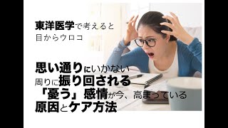 思い通りにいかない・周りに振り回される・憂う感情が強く入る原因とケア方法〜東洋医学で考えると目からウロコ〜