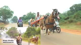 கோயம்புத்தூர் ரேக்ளா பந்தையம் 18-03-2018  பாகம்-1