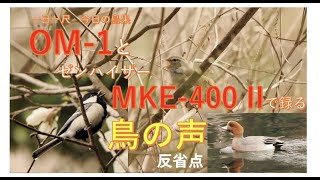 OM-1とMKE-400 II　で録る・鳥の声（反省点）