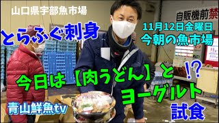 【山口県宇部魚市場】【とらふぐ】【肉うどん】【ヨーグルト】今朝の魚市場11月12日金曜日の水揚げ状況