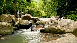 Calming Sound of Little Mountain River Flowing in Rainforest. Gentle River, White Noise for Sleeping
