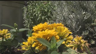 Salem prepares for local garden tours