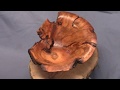 Wood Turning Cherry Plum That Fell Apart