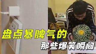 盘点暴脾气的那些爆笑瞬间，果然一时发泄一时爽，谁还没有点脾气