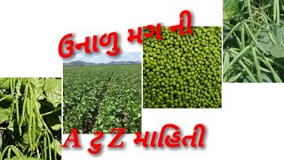 ઉનાળુ મગ ની માહિતી #@ unadu mag ni kheti