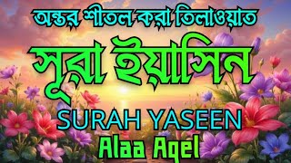 প্রতিদিন সকালে (সূরা ইয়াসিন) শুনুন হৃদয় শীতল করা তিলাওয়াত | কুরআনের আমল| SURAH YASEEN BY ALAA AQEL