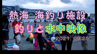 熱海海釣り施設に早めに着いけど　の　釣りと水中映像