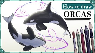 How to draw ORCAS / KILLER WHALES - Step by Step Art Tutorial