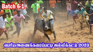 2023 பெரிய அணைக்கரைப்பட்டி ஜல்லிக்கட்டு Part 6-1 | PERIYA ANAIKKARAIPPATTY JALLIKATTU | Thangam tv