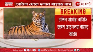 Purulia Royal Bengal Tiger | পুরুলিয়ায় অবস্থান বদল ঝাড়খণ্ডের বাঘের! | Zee 24 Ghanta