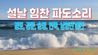 설날 - 힘찬 파도소리 (경포, 강문, 송정, 안목, 남항진 해변)