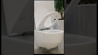 Laufen Pro White Wall Hung Rimless Toilet Excluding Seat | Italtile