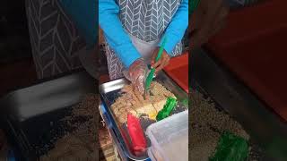 Kalochi Mochi Khas Pontianak | Indonesia Street Food #shorts #streetfood #mochi #kalochi