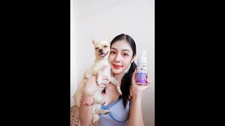 รีวิว!!! Aipets โฟมอาบน้ำแห้งหมาแมวสูตรอ่อนโยน กลิ่นแป้งหอม 5