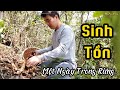 Một ngày trong rừng Sinh Tồn | Hiếu Viu| Lấy Tắc Kè Đá