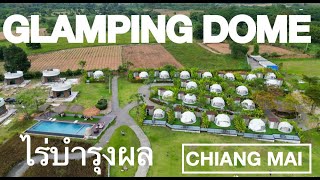 GLAMPING DOME in CHIANG MAI with Raibumrungphol ไร่บำรุงผล by DRONE