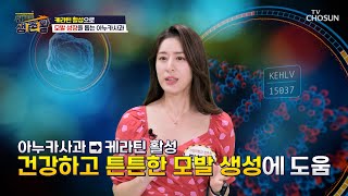 땅에서 숙성하는 ✦아누카 사과✦ 모발 성장 촉진에 탁월👍 TV CHOSUN 231010방송 | [위기탈출 생존왕] 47회 | TV조선