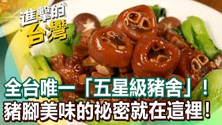 【進擊的台灣】全台唯一「五星級豬舍」！豬腳美味的祕密就在這裡！