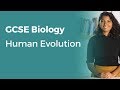 Human Evolution | 9-1 GCSE Biology | OCR, AQA, Edexcel