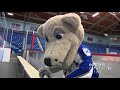 a day in the life of howler sudbury wolves