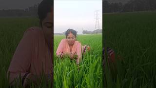 सगवा खोते के बहन आया खेत में #bhojpuri #trendingshorts #viralvideo #shortvideo