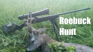 Ansitz auf Maiböcke / Spring roebuck hunt/ Bockjagd 2017