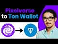 How to Connect Pixelverse to Ton Wallet (2024)