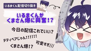 【シクフォニ切り抜き】いるまくんがくまさん爆に興奮！？くまさん愛の強いいるまくんのギャップ萌えがやばすぎた…　【シクフォニ】【いるま】