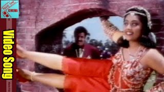 Bobbili Simham Movie || Maayadari Pillada Video Song || Balakrishna, Roja, Meena