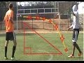 Best Trick Free Kick of 2016 | The Fifa Trainer