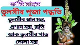 কাতি মাহত তুলসী পূজাৰ বিভিন্ন মন্ত্ৰ #katibihu  #tulsi #tulsipujavideo